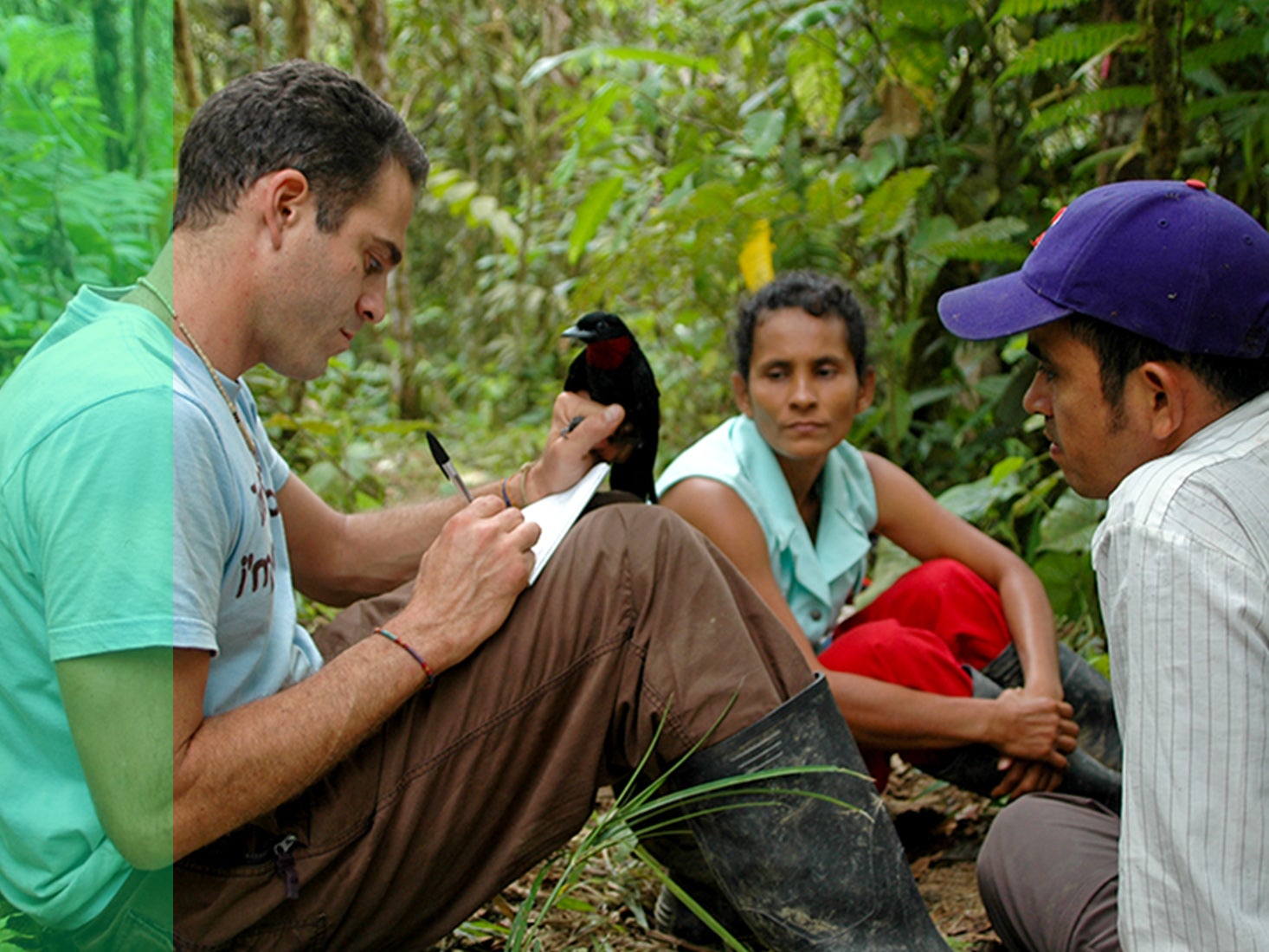 A student holding a bird takes notes while sitting in a rainforest with two others.