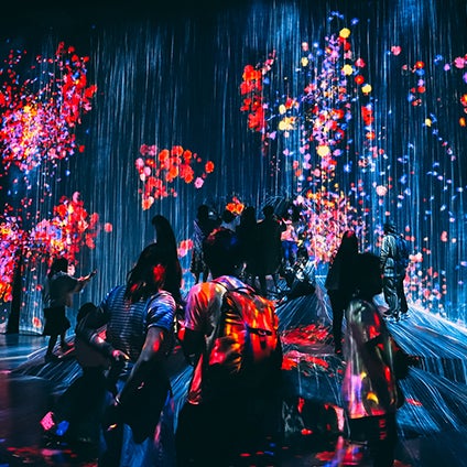 Deran Chan and fellow study abroad students pose for a cool photo at TeamLab in Japan.