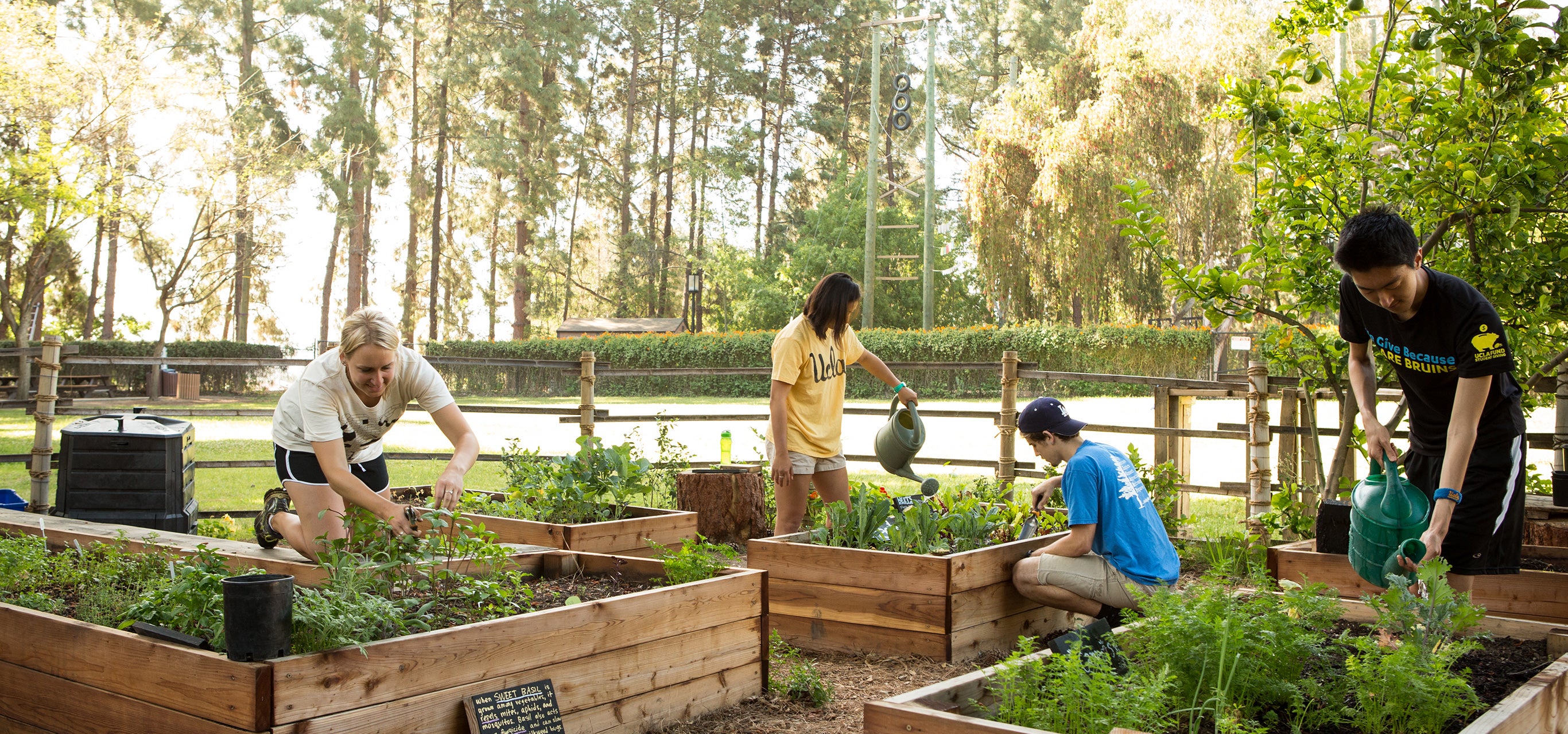 Students care for plants in the organic garden on campus.