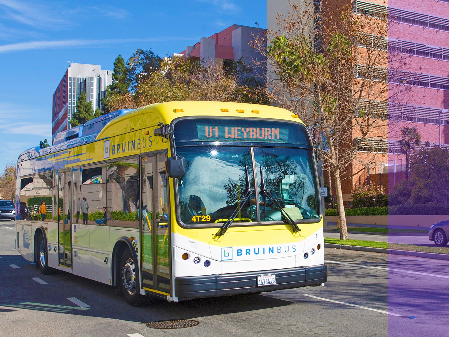 A Bruin Bus follows its route around campus.